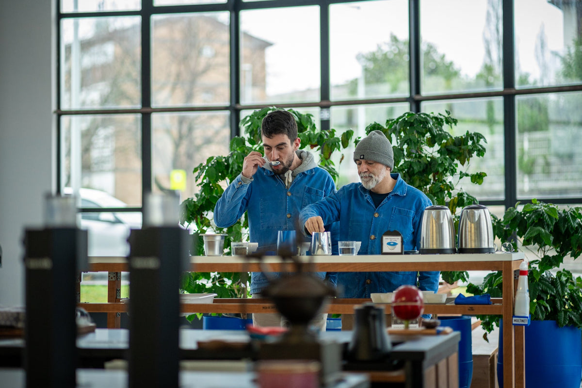 Seis tuestes para un mismo café: dentro del laboratorio de Javier