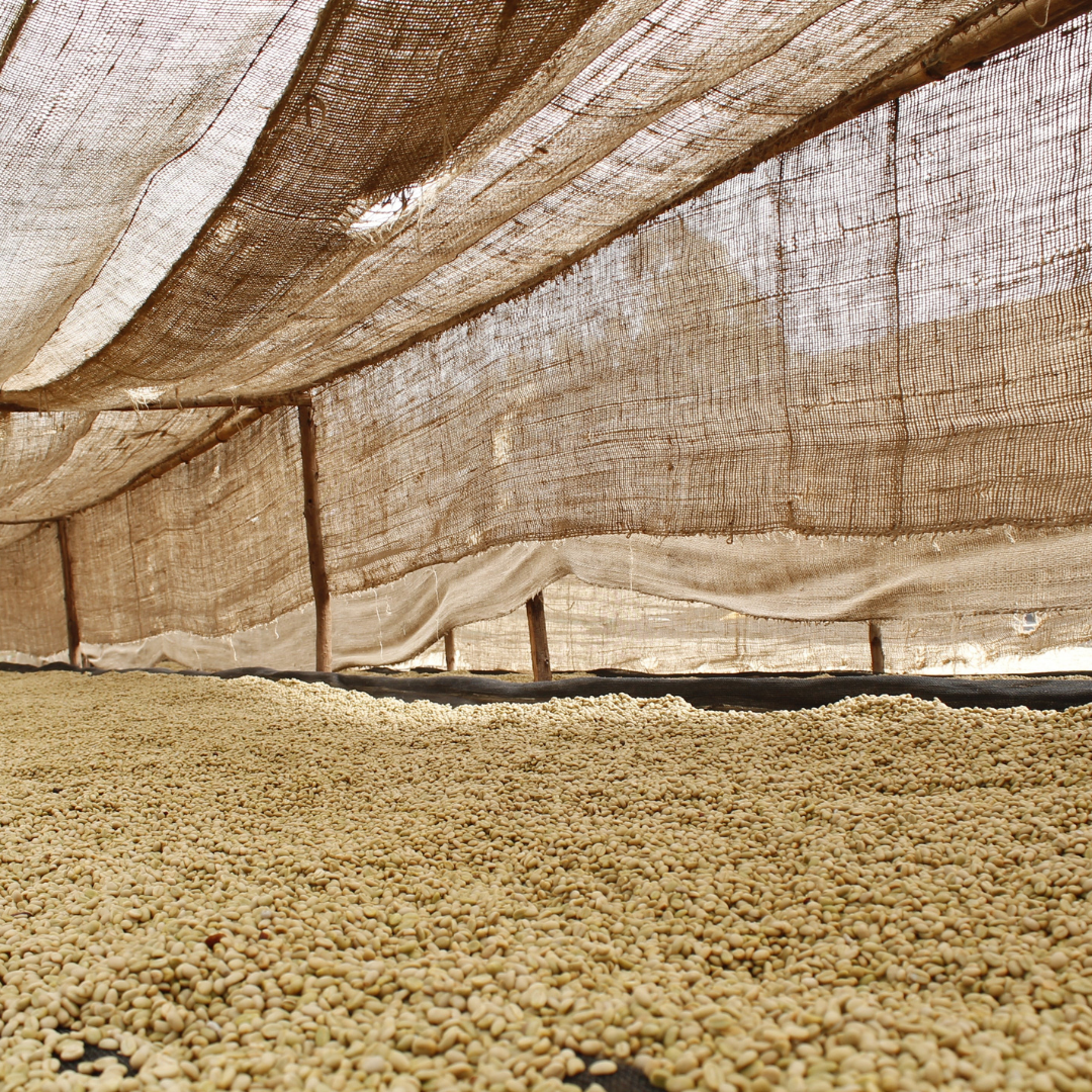 Ethiopia - Bombe