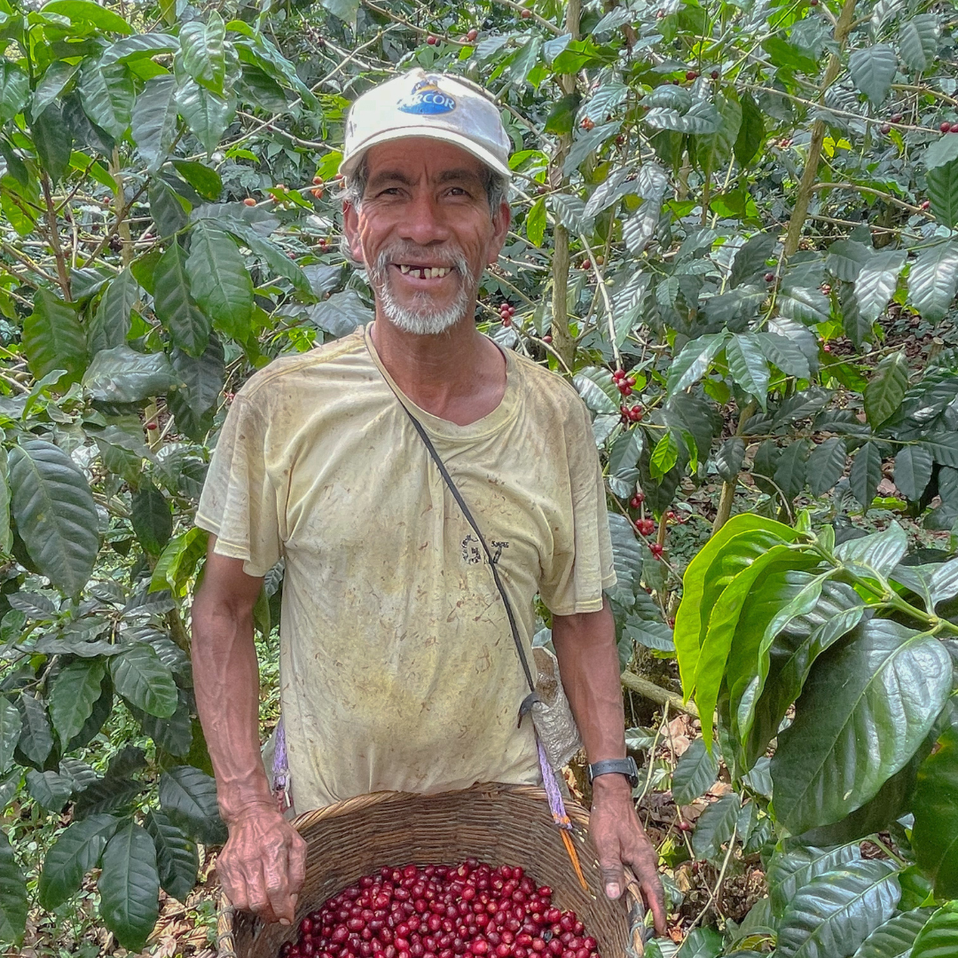 La Fany - El Salvador