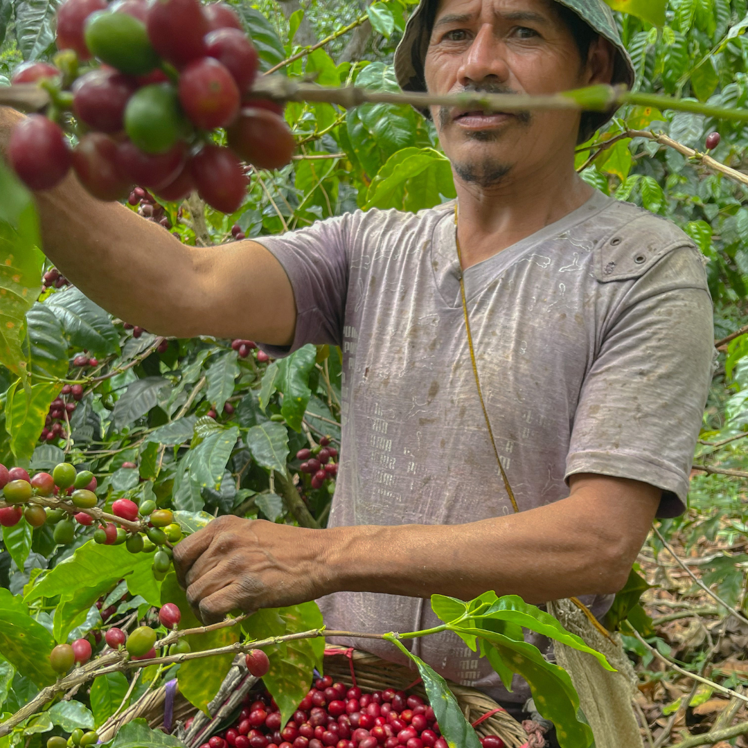 La Fany - El Salvador