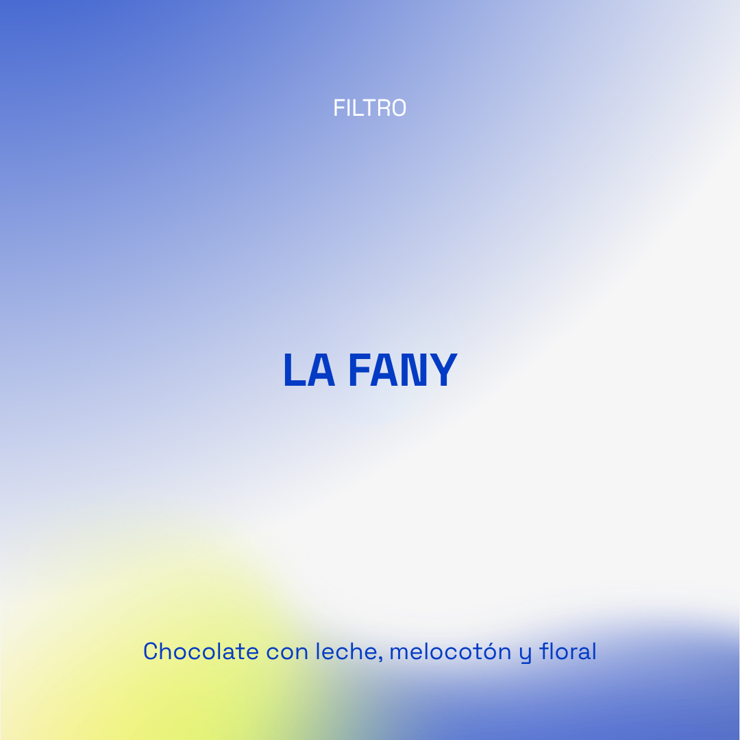 La Fany - El Salvador